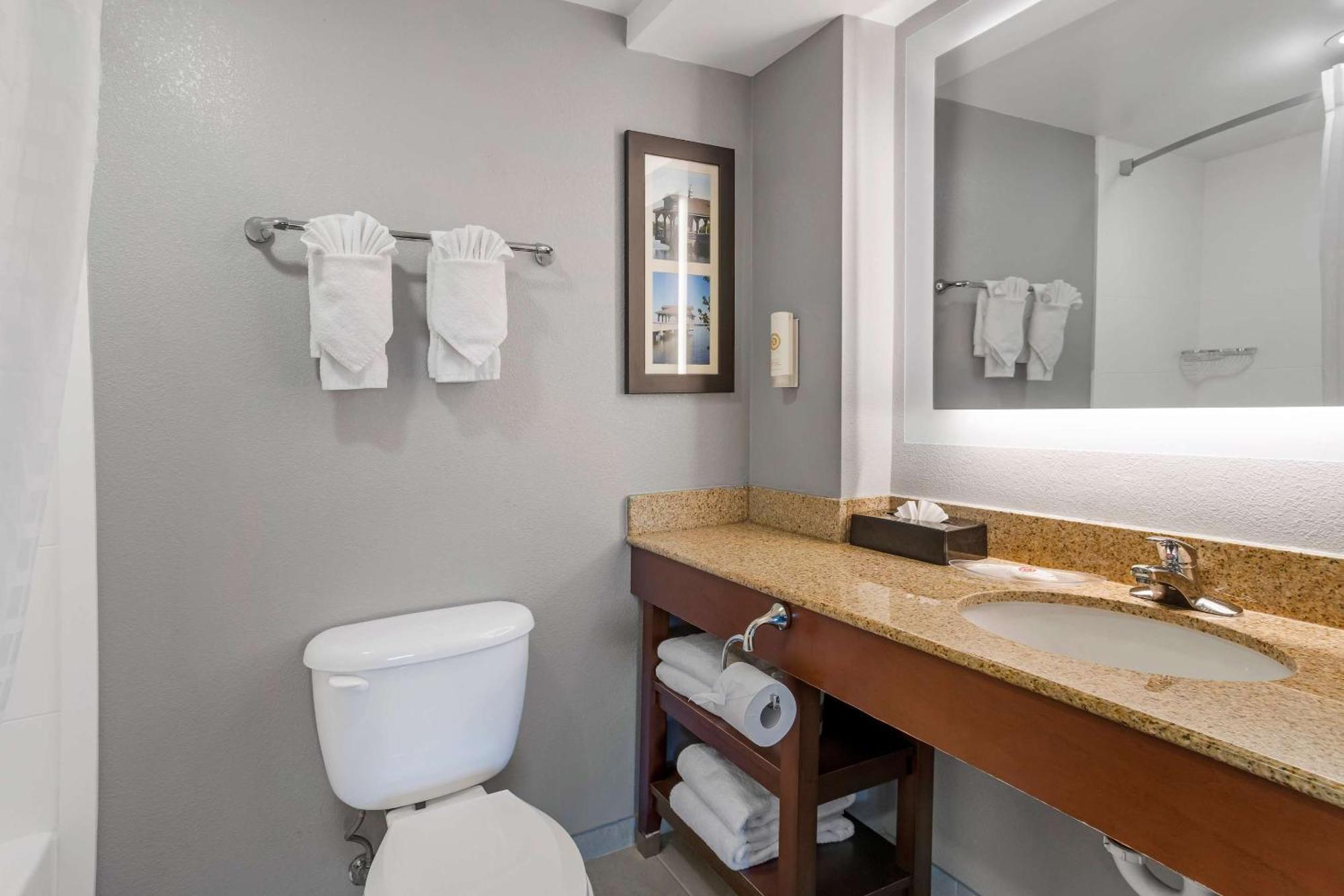 Comfort Suites Near Birkdale Village- Huntersville Bagian luar foto